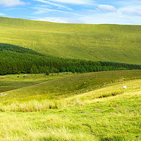Buy canvas prints of Brecon Beacons National Park II by Gisela Scheffbuch