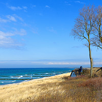 Buy canvas prints of In the Dunes - Ahrenshoop Scenery by Gisela Scheffbuch