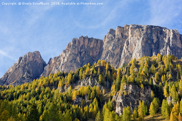Dolomites Rocks in the Evening Sun Picture Board by Gisela Scheffbuch