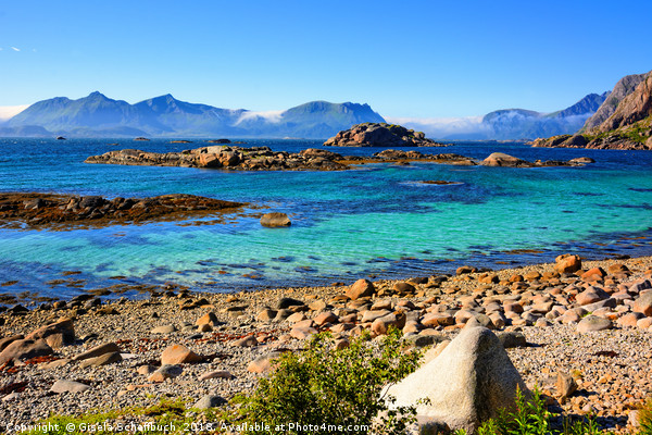A Bright Summer Day in the Lofoten Islands Picture Board by Gisela Scheffbuch