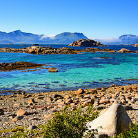 Buy canvas prints of A Bright Summer Day in the Lofoten Islands by Gisela Scheffbuch