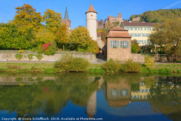  Wertheim with the Tauber River and the Castle     Picture Board by Gisela Scheffbuch