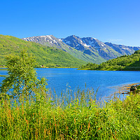 Buy canvas prints of Gullesfjorden - Fjord in Norway by Gisela Scheffbuch