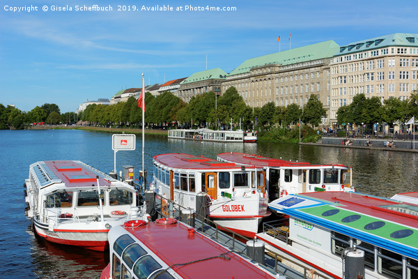 Hamburg - Summer on the Alster River Picture Board by Gisela Scheffbuch