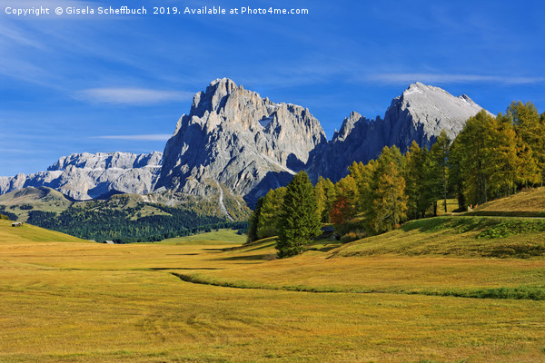 Amazing Autumn Day on the Alpe de Siusi Picture Board by Gisela Scheffbuch