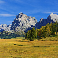 Buy canvas prints of Amazing Autumn Day on the Alpe de Siusi by Gisela Scheffbuch