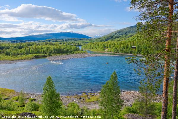 Nordic Scenery - The River Målselva  Picture Board by Gisela Scheffbuch
