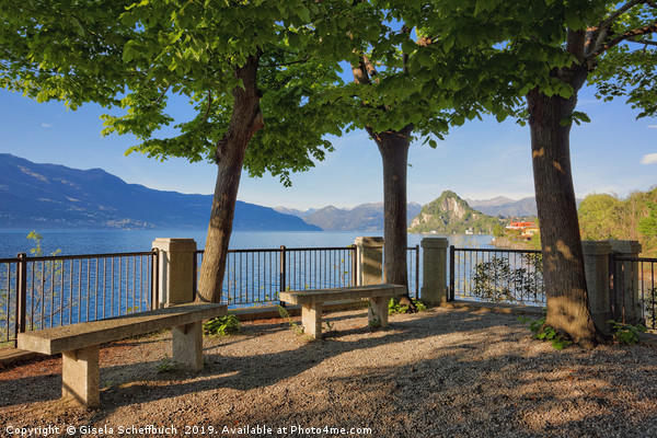 A Spring Evening at Lake Maggiore Picture Board by Gisela Scheffbuch