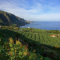 Buy canvas prints of Tenerife's Beautiful Green North by Gisela Scheffbuch