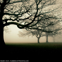 Buy canvas prints of Trees in the Mist by Rachel J Bowler