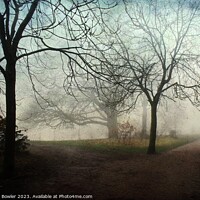 Buy canvas prints of Solace in the Mist by RJ Bowler