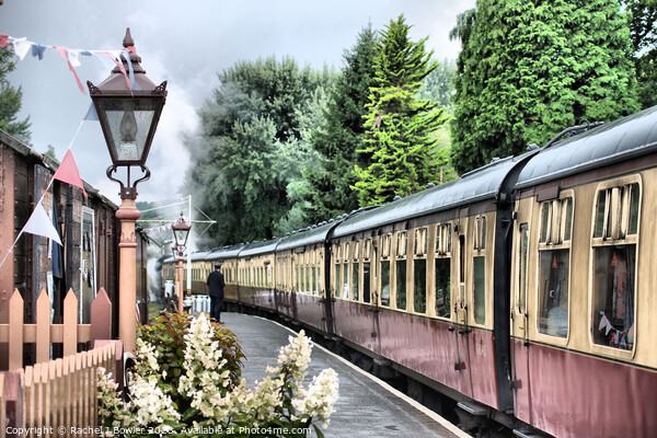 Summer at Severn Valley Railway Picture Board by RJ Bowler