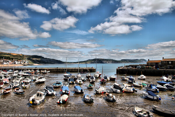 Harbour at Lyme Regis Picture Board by RJ Bowler