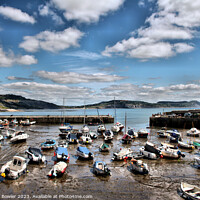 Buy canvas prints of Harbour at Lyme Regis by Rachel J Bowler
