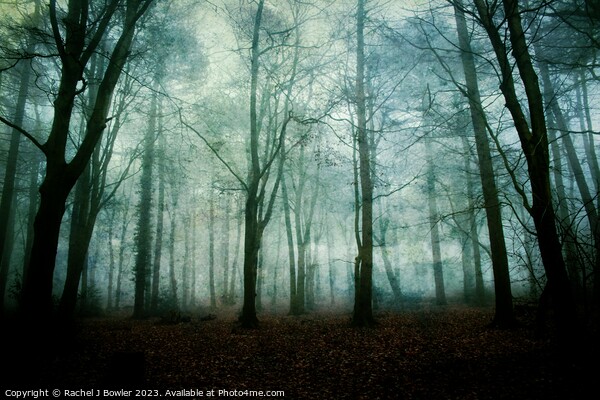 Dark and Misty Wood Picture Board by RJ Bowler
