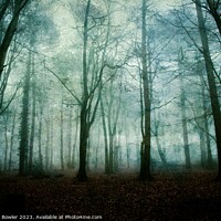 Buy canvas prints of Dark and Misty Wood by RJ Bowler