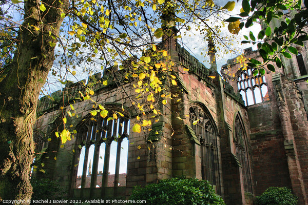Old Coventry Cathedral Picture Board by RJ Bowler