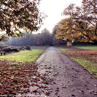 Buy canvas prints of Autumn at Sutton Park by RJ Bowler