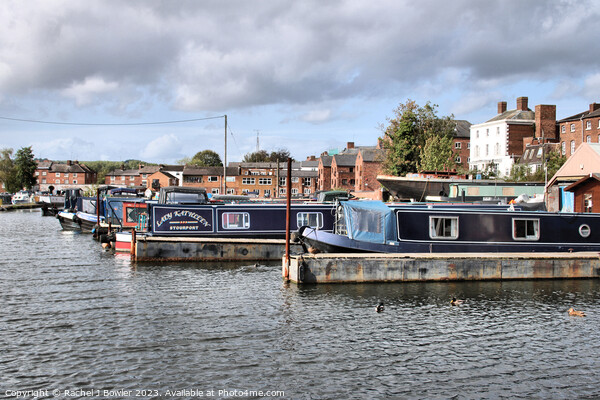 Narrowboats at Stourport-on-Severn Picture Board by RJ Bowler