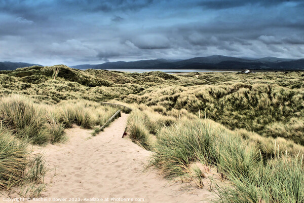 Ynyslas Sand Dunes Picture Board by RJ Bowler