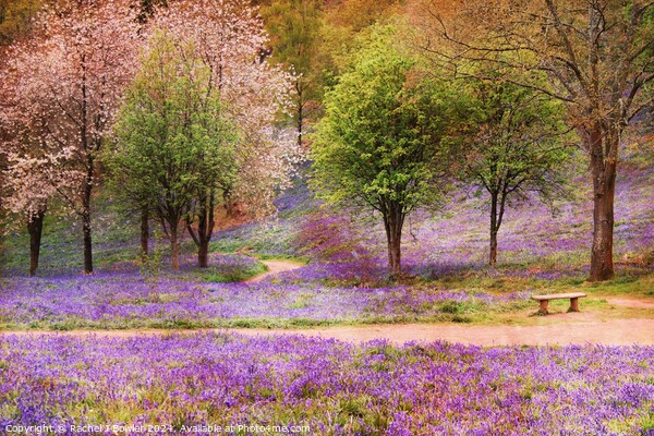 Blossom and Bluebells Picture Board by RJ Bowler