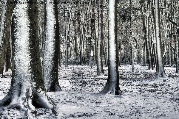 Winter Wonderland Picture Board by RJ Bowler
