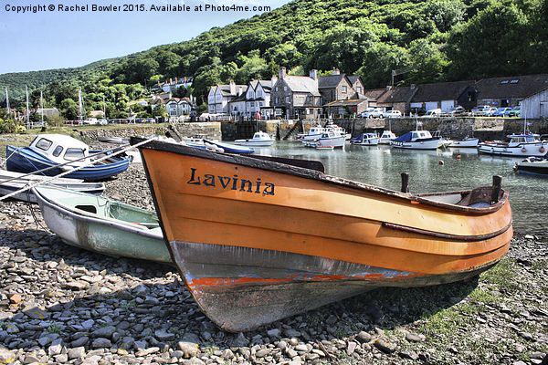 Lavinia at Porlock Picture Board by RJ Bowler