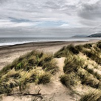Buy canvas prints of Majestic Sand Dunes of Wales by Rachel J Bowler