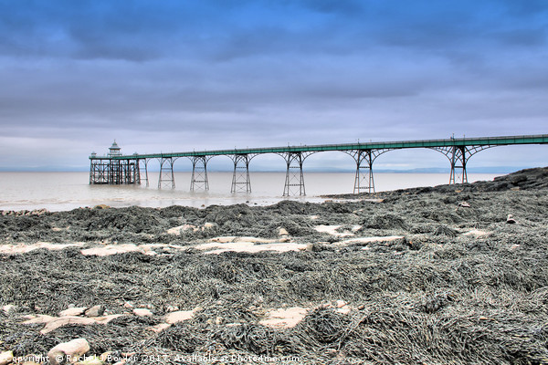 Majestic Clevedon Pier Picture Board by RJ Bowler