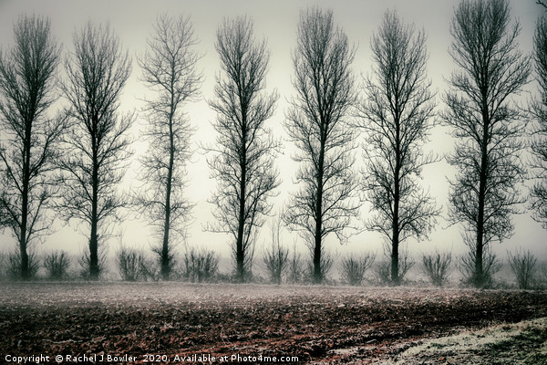 Mystical Frosty Morning Picture Board by RJ Bowler