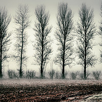 Buy canvas prints of Mystical Frosty Morning by RJ Bowler