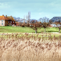 Buy canvas prints of Elmley marsh farm buildings by Andy Wickenden