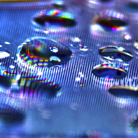 Buy canvas prints of Droplets by Steve Allen