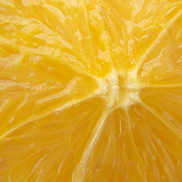 Buy canvas prints of Fresh Orange closeup by Matthias Hauser