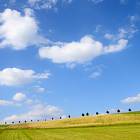 Buy canvas prints of Summer landscape with blue sky by Matthias Hauser