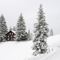 Buy canvas prints of Trees and house in winter by Matthias Hauser