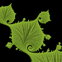 Buy canvas prints of Green floral fractal art by Matthias Hauser