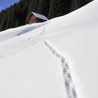 Buy canvas prints of Foot prints in the snow by Matthias Hauser