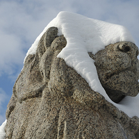 Buy canvas prints of Snow-covered lion statue Stuttgart by Matthias Hauser