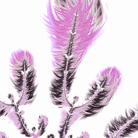 Buy canvas prints of Pink fractal flower art by Matthias Hauser