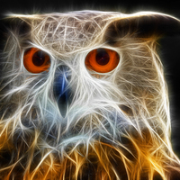 Buy canvas prints of Owl fractal art by Matthias Hauser