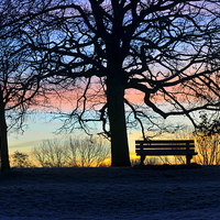 Buy canvas prints of sunrise in the park by claire norman