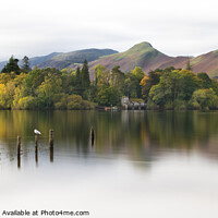 Buy canvas prints of Derwentwater in Autumn - Lake District by Veli Bariskan