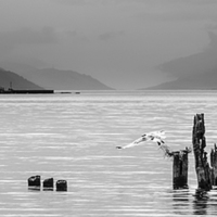Buy canvas prints of Loch Ness from Dores, Scotland by Veli Bariskan