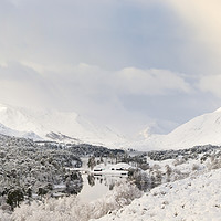 Buy canvas prints of Glen Affric Winter Wonderland by Veli Bariskan