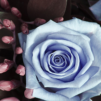 Buy canvas prints of Blue and Purple Rose and Buds by Heather Wise