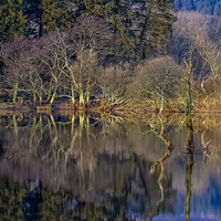 Buy canvas prints of River Reflections by Adrian Hargan