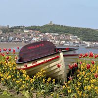Buy canvas prints of Boat in the flower Bed by Andrew McCauley