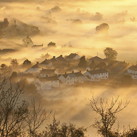 Buy canvas prints of Dawn Mist by Nick Pound