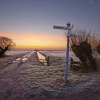 Buy canvas prints of Dawn at Tealham Moor by Nick Pound